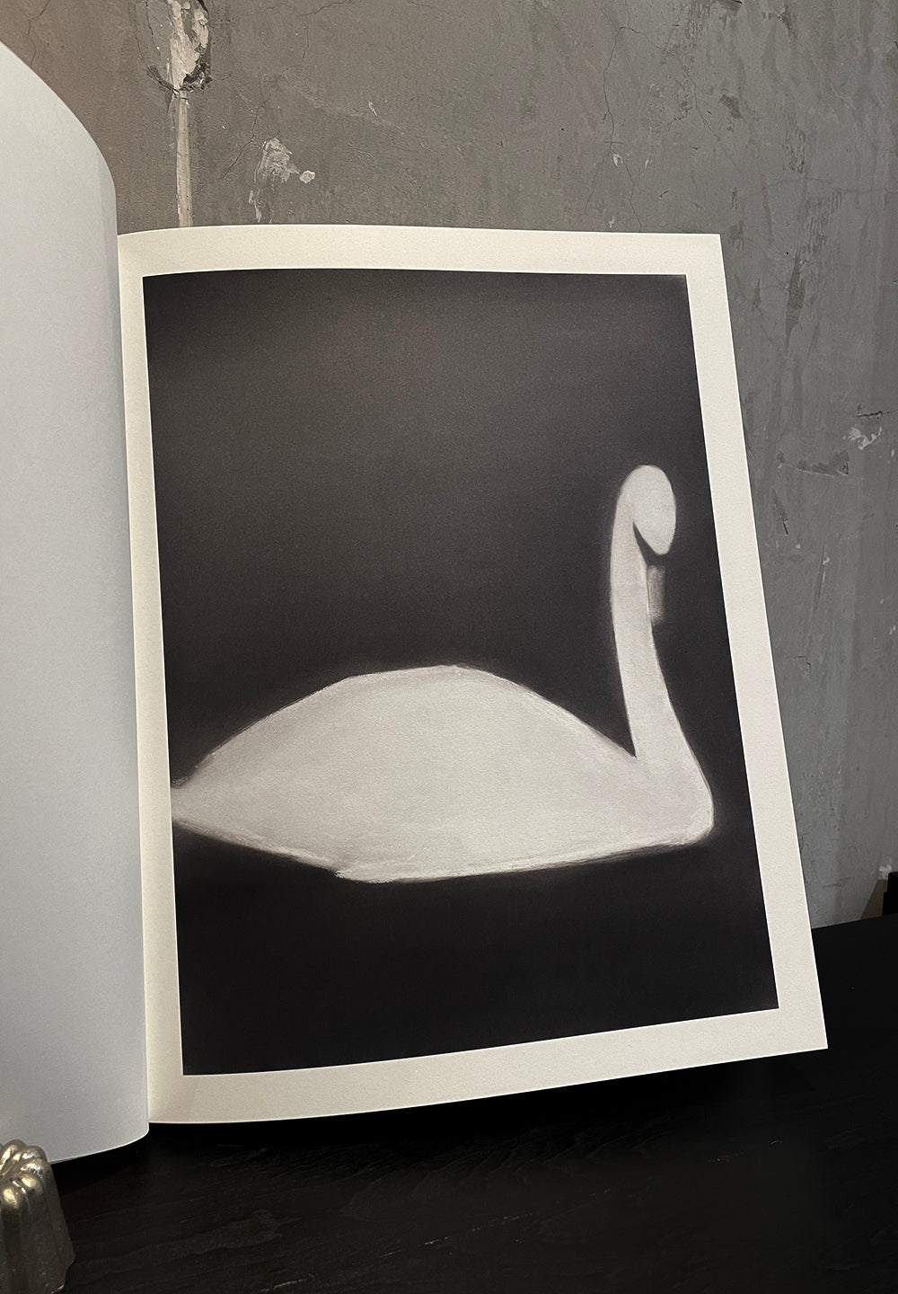 Swan | MATS GUSTAFSON